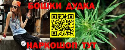 мет Кингисепп