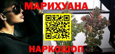 мет Кингисепп