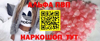 мет Кингисепп